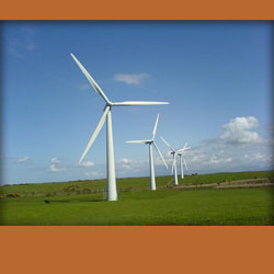 Wind Turbines on a field